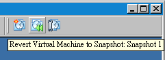 VMware_snapshot_3