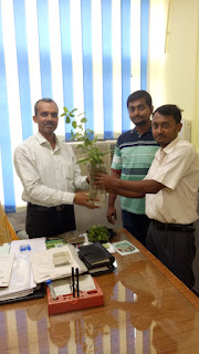 State Medicinal Plant Board