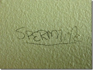 photo 5 (2)