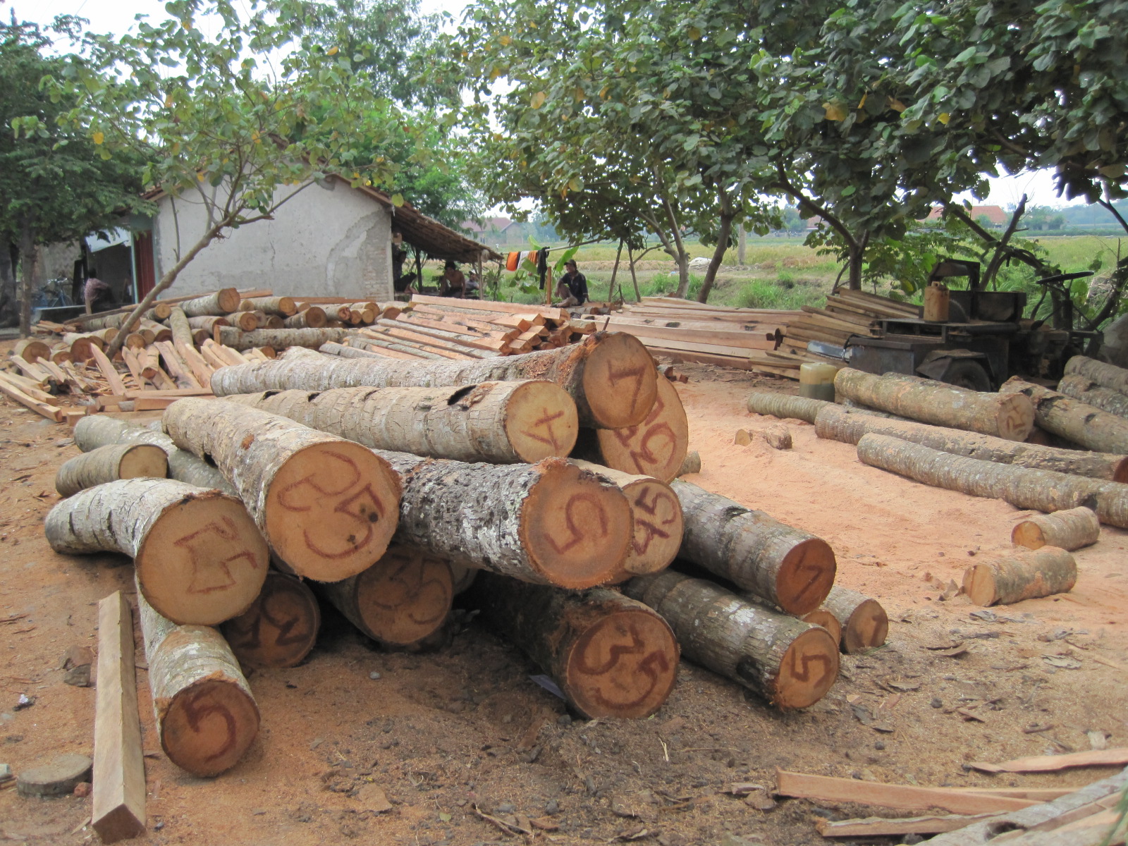 BREBES BERHIAS Usaha pembuatan balokan batang  kelapa  di 
