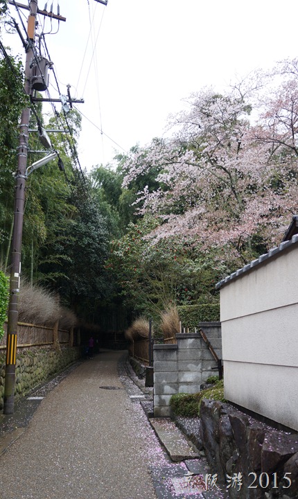 DSC03224