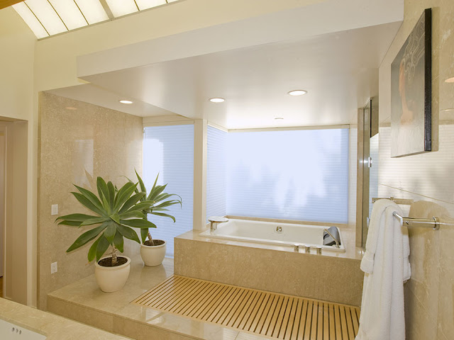 Picture of modern bathtub and wooden pedestal with vegetation 
