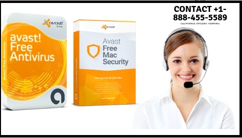 Avast Antivirus Support Number