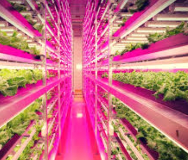 Japan Modern Agriculture