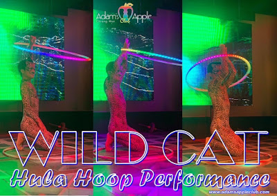 Best WILD CAT HULA HOOP Performance Gay Bar Chiang Mai