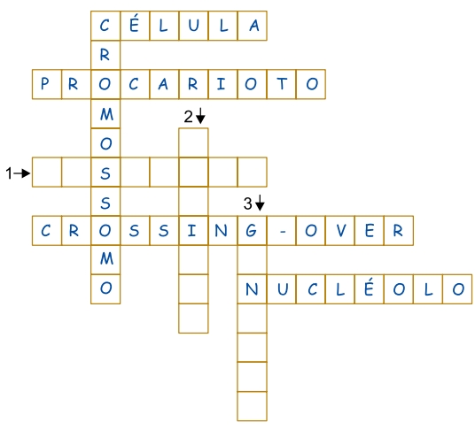 Questão Analise o esquema de um jogo de palavras cruzadas. As
