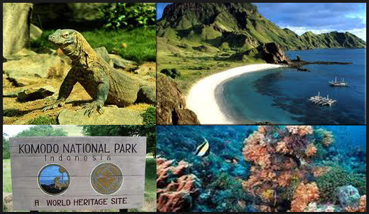 flores travel guide