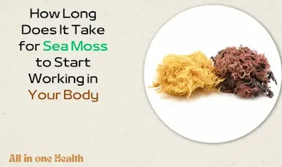How Long Does It Take for Sea Moss to Start Working in Your Body?