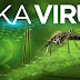 Zika Virus Symptom Pregnancy