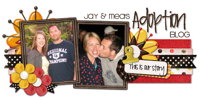 Jay and Mea's Adoption Blog Design