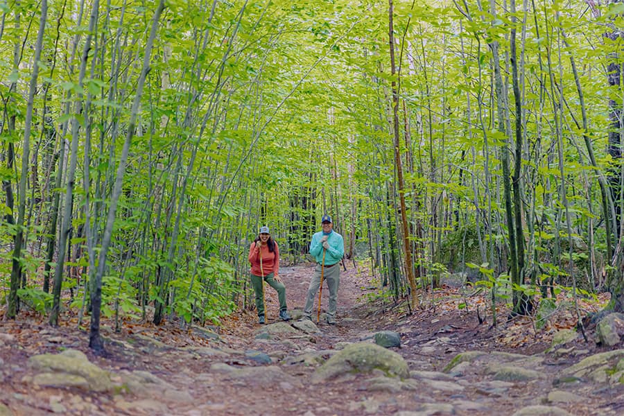Ledge's Trail in Denmark, Maine