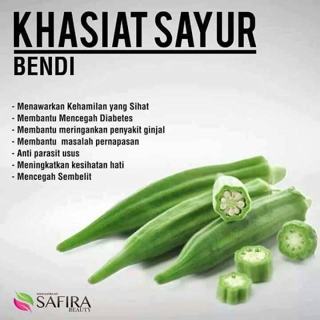 KHASIAT SAYUR BENDI - ♥♥ MAMA MASZULL