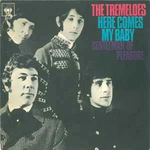 the-tremeloes-here-comes-my-baby-1967