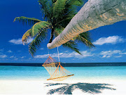 Free HD Beautiful Summer Season And Beach Wallpaper . (summer coconut tree nature)