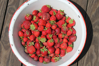 Bowl of Strawberries from Second Harvest
