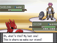 Pokemon Platinum Entrance Randomizer Screenshot 02