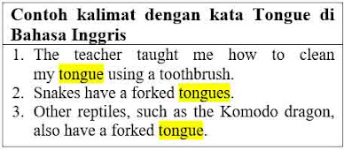 21 Contoh kalimat tongue di bahasa Inggris dan Pengertiannya
