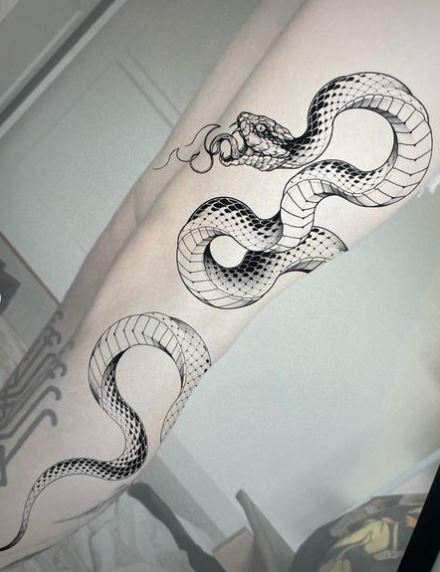 50 tatuagens de cobras que vão te fazer querer uma imediatamente