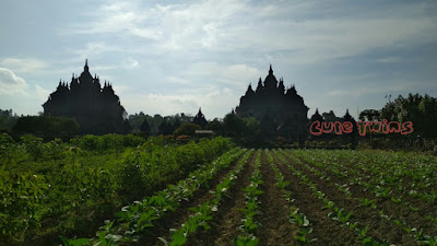 alamat candi plaosan klaten