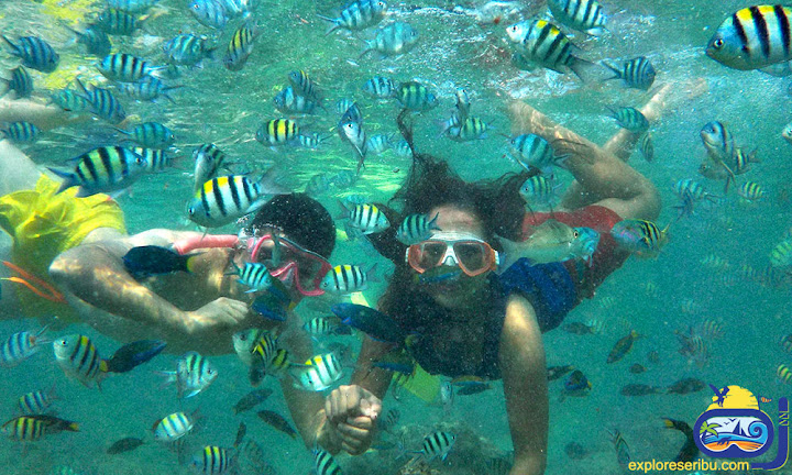 sport snorkeling pulau pramuka