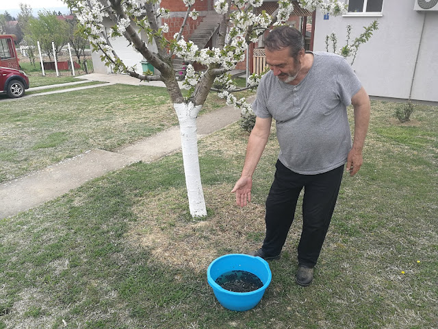 Плава канта "Закон за рутаве бубе"