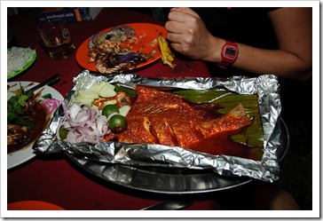 2011_03_06 D80 Melaka 030