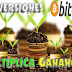 INVERSIONES