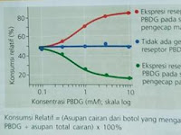 Penelitian Indra Pengecapan-Bagaimana mamalia mendeteksi rasa yang berbeda?