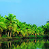 Best Places to visit in Kerala