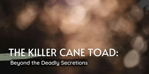 The Killer Cane Toad: Beyond the Deadly Secretions
