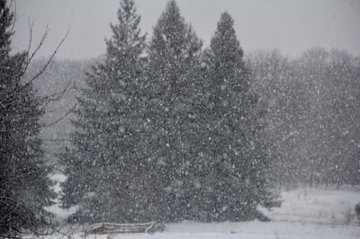 today’s snow has begun