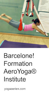 formation yoga aérien