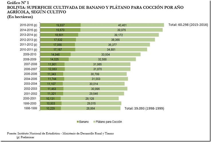 Plátano en Bolivia