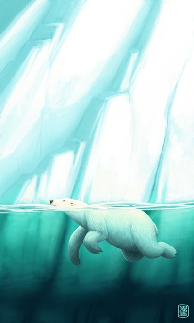 polar-bear3