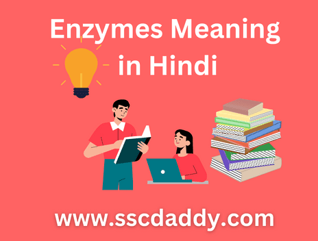 Enzymes Meaning in Hindi