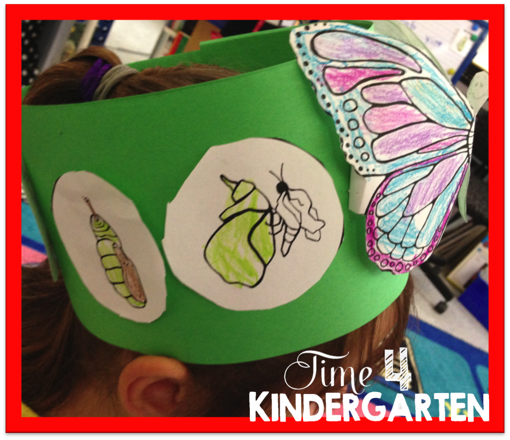 butterfly headband, life cycle of butterflies