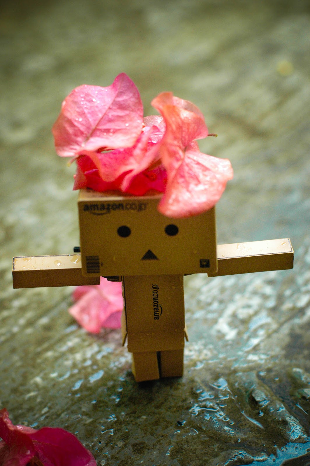 MY SMALL CAMERA DANBO Si Boneka Kardus