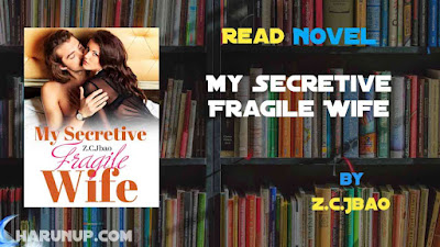 Read My Secretive Fragile Wife Novel Full Episode
