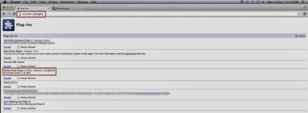 Club Penguin Blog: Google Chrome Flash Player Workaround