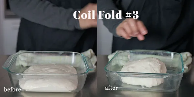 sourdough at the start of coil fold 3