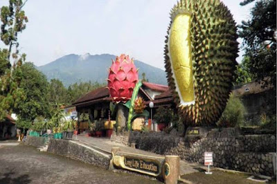 Wisata kuliner Warso Farm bogor