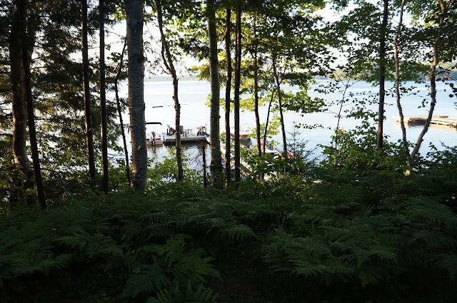 View of dock, muskoka chairs and Lake, from behind trees