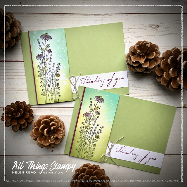 Dandy Garden Dandelion Wishes Stampin Up