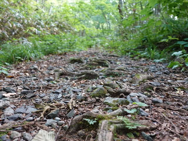 烏ヶ山登山道