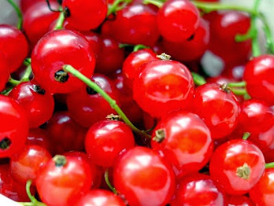 8 Currant Fruit Health Benefits