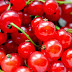 8 Currant Fruit Health Benefits