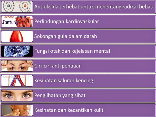 http://ioptiplus.blogspot.my/2015/07/soal-jawab-radikal-bebas.html