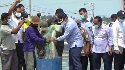 *Panen Udang di Muara Gembong, Menteri Edhy Yakin Budidaya Jadi Kekuatan Ekonomi Nasional*