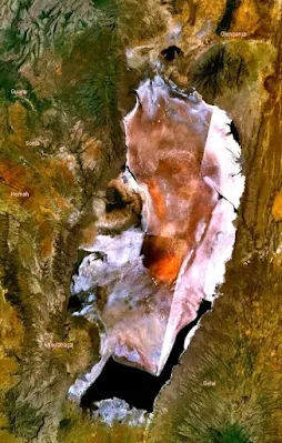 Satellite image of Lake Natron in Tanzania