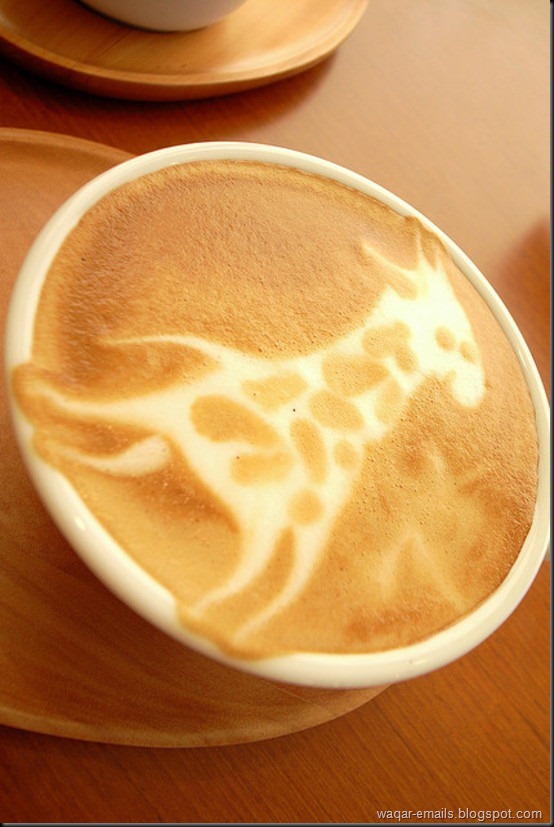 latteart14